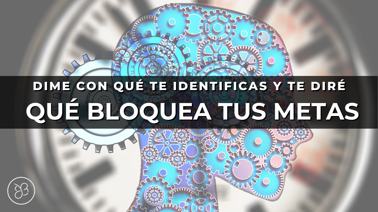 Dime con que te identificas y te diré que bloquea tus metas? Niveles neurológicos: identidad, creencias y realidad